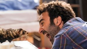 Le furet's poster