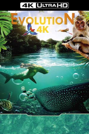 Evolution 4K's poster