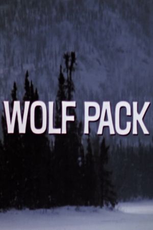 Wolf Pack's poster