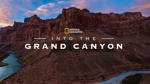 Into the Canyon's poster