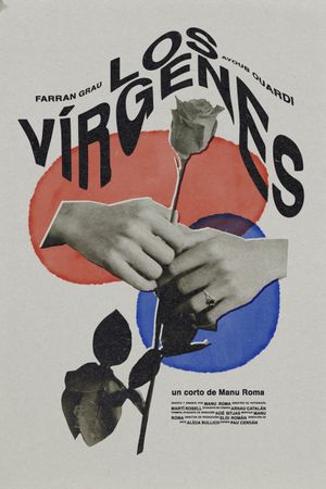 The Virgins's poster