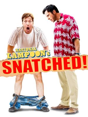 Snatched's poster