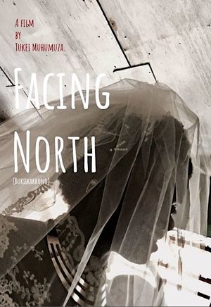 Facing North's poster image