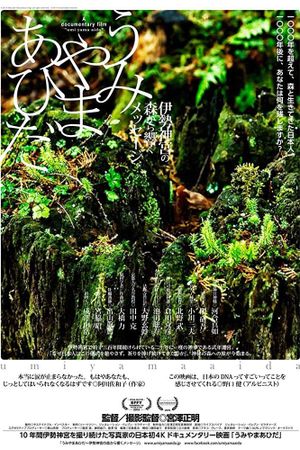 In Between Mountains and Oceans's poster
