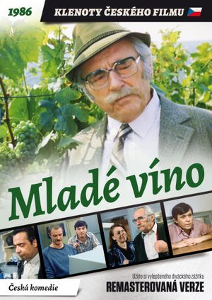 Young Wine's poster