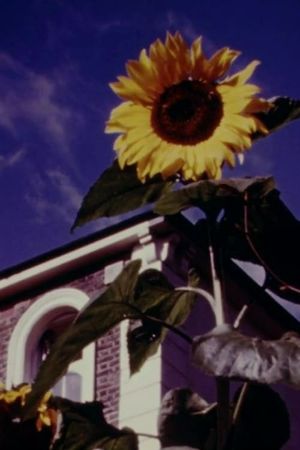 Sentimental Journey's poster