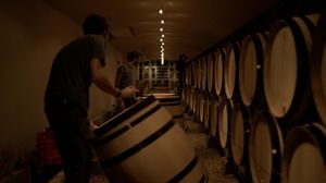 Into the Wine's poster