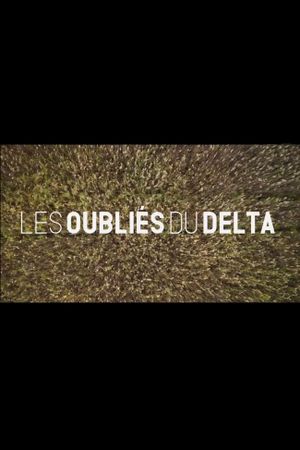 Les oubliés du Delta's poster