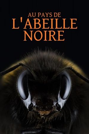 Au pays de l'abeille noire's poster image