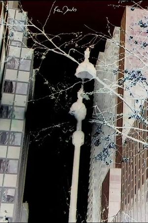 City Foliage's poster