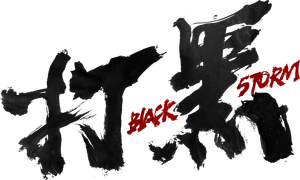 Black Storm's poster