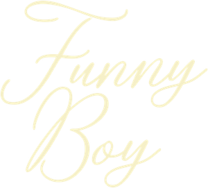 Funny Boy's poster