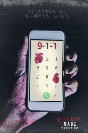 911's poster image