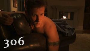 306's poster