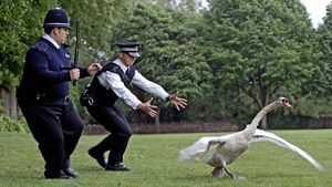 Hot Fuzz's poster