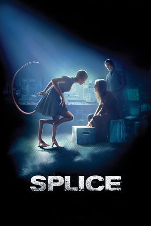 Splice's poster