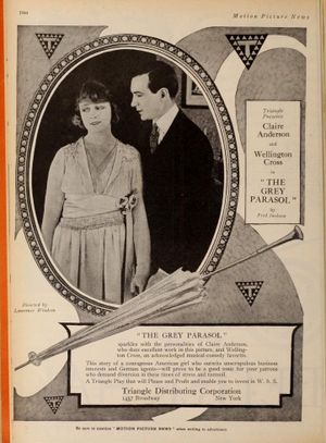 The Grey Parasol's poster