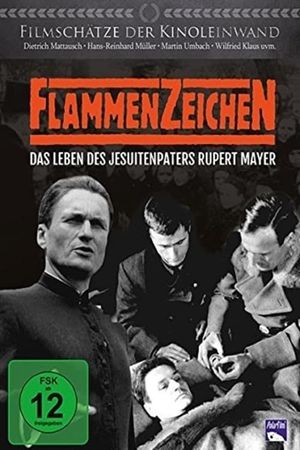 Flammenzeichen's poster