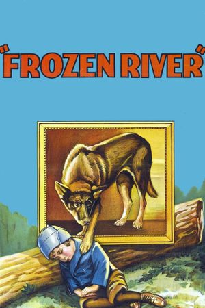 Frozen River's poster