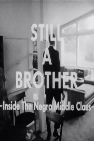 Still a Brother: Inside the Negro Middle Class's poster
