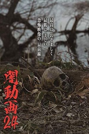 Tokyo Videos of Horror 24's poster