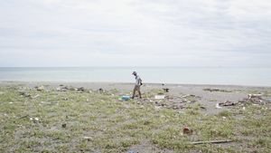 Walk the Tideline's poster
