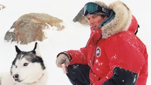 Eight Below's poster