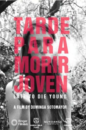 Too Late to Die Young's poster