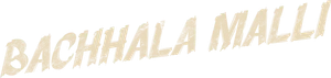 Bachhala Malli's poster