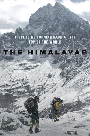 The Himalayas's poster