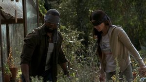 Bird Box's poster