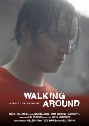 Walking Around's poster