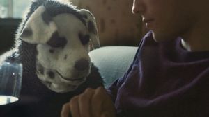Good Boy's poster