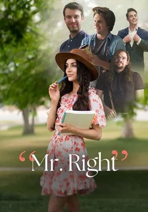 Mr. Right's poster