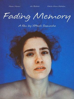 Fading Memory's poster