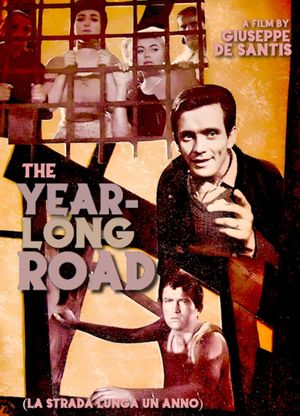 The Year Long Road's poster