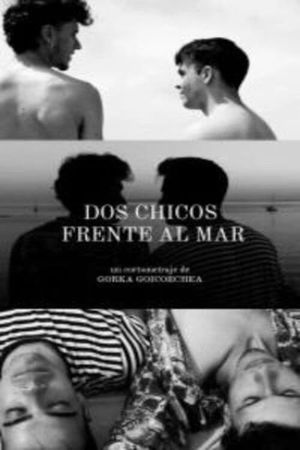 Dos Chicos Frente al Mar's poster