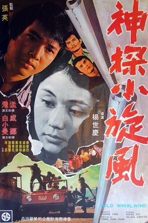 Twin Fist for Justice's poster
