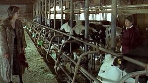 A Lonely Cow Weeps at Dawn's poster
