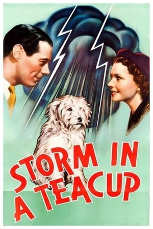 Storm in a Teacup's poster