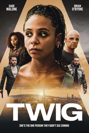 TWIG's poster