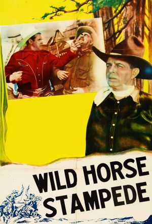 Wild Horse Stampede's poster