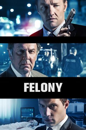 Felony's poster