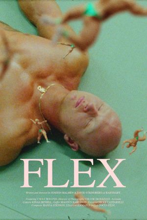 Flex's poster image