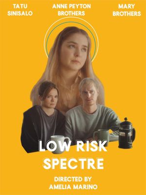 Low Risk Spectre's poster