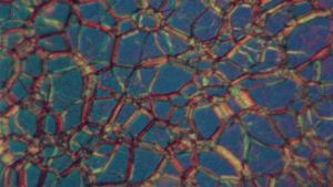 Liquid Crystals's poster