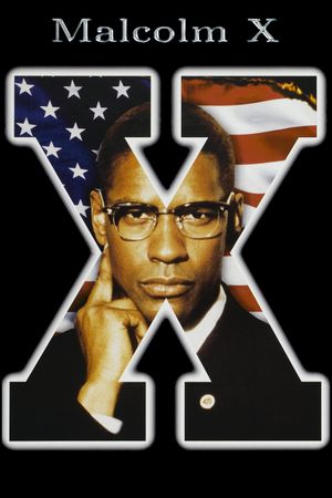 Malcolm X's poster