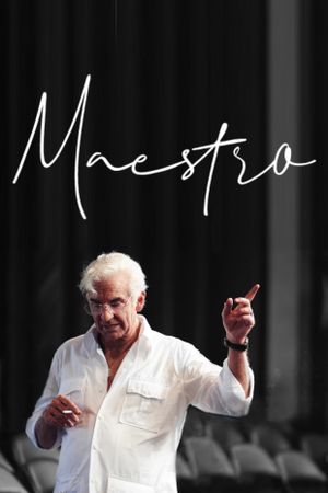 Maestro's poster