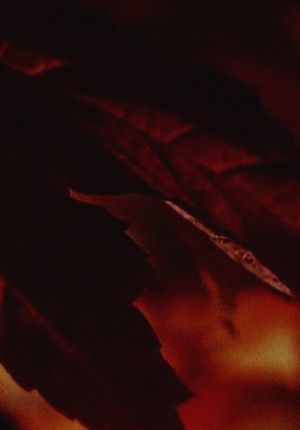 T H I R's poster