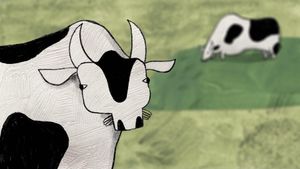 About a Cow's poster